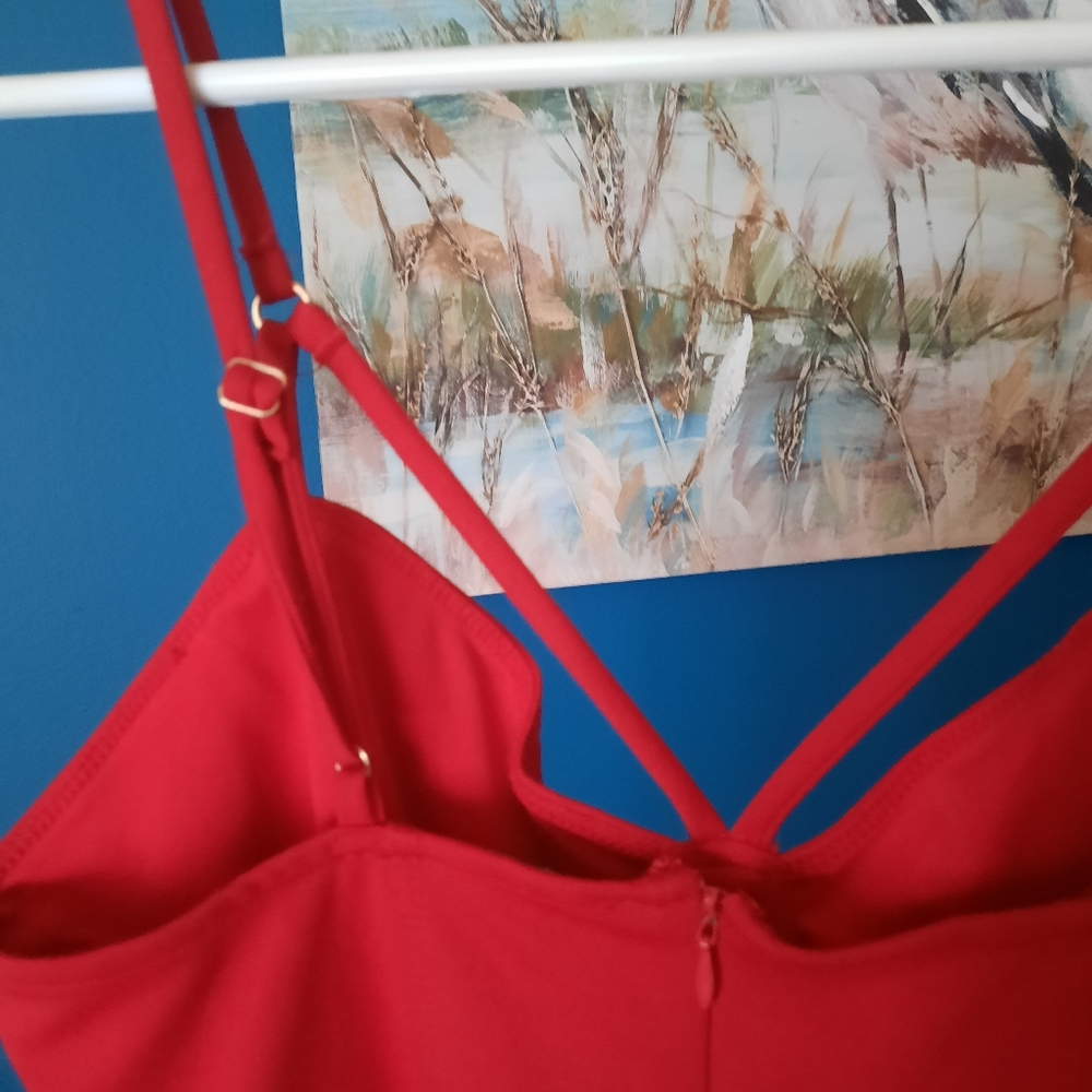 5/25$ Cute red Forever 21 Dress - Picture 4 of 6